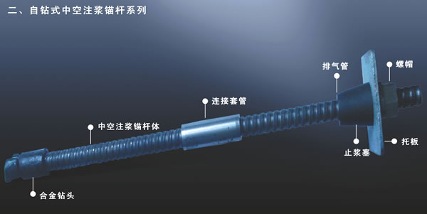 ����V���^�U